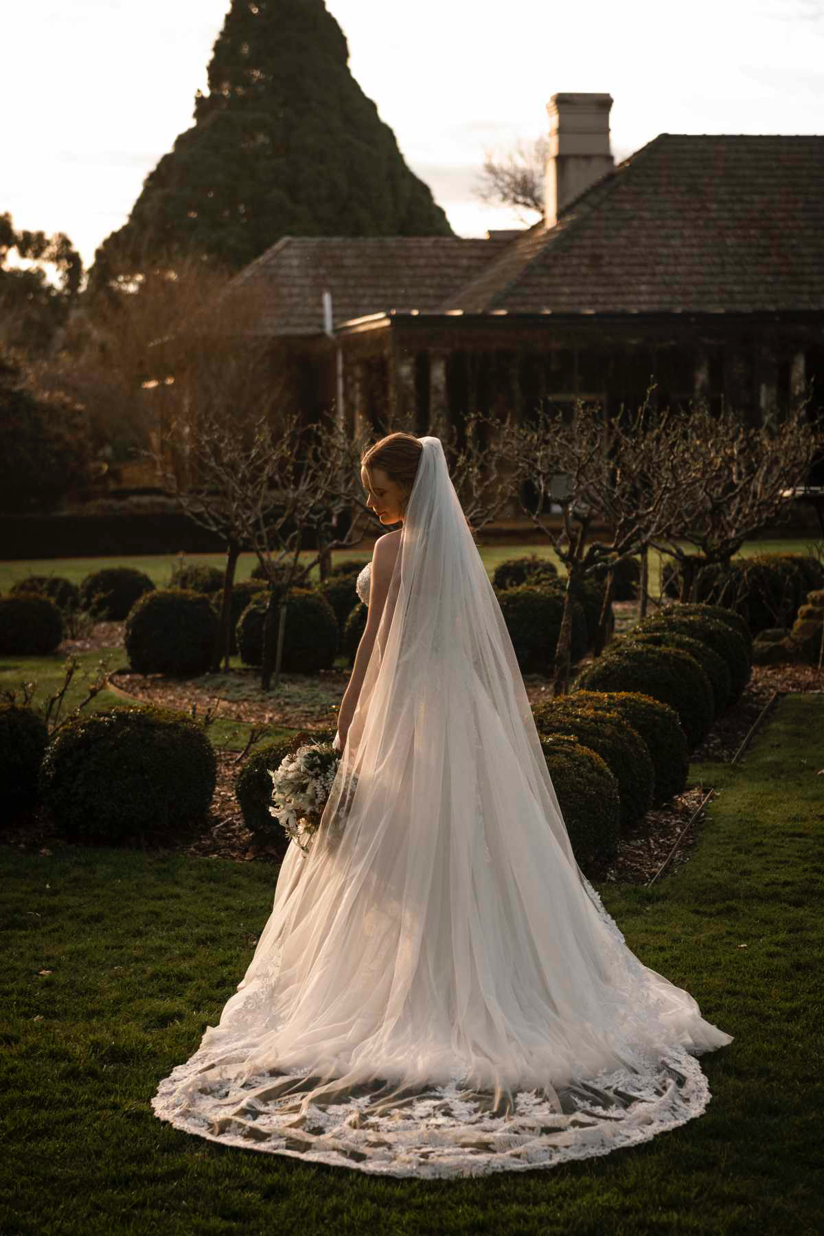 Bride from behind wearing a long lace-trimmed cathedral veil at sunset in a country garden